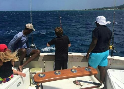 Cruise ship excursions