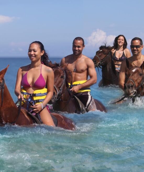 Highlights Tours Of Ocho Rios With Lunch