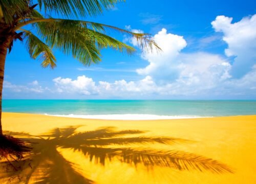 Top Reasons to Visit Blue Hole with Jolly Rogers Tour Jamaica