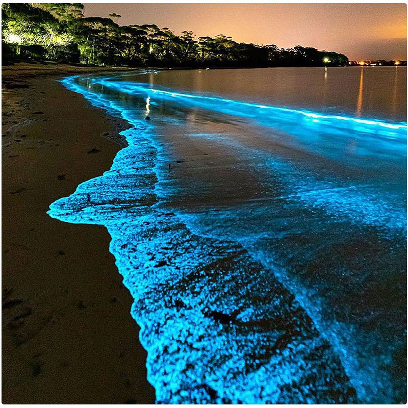 Luminous Lagoon (1)